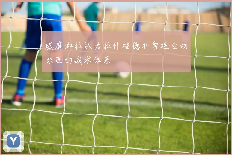 威廉加拉认为拉什福德非常适合切尔西的战术体系