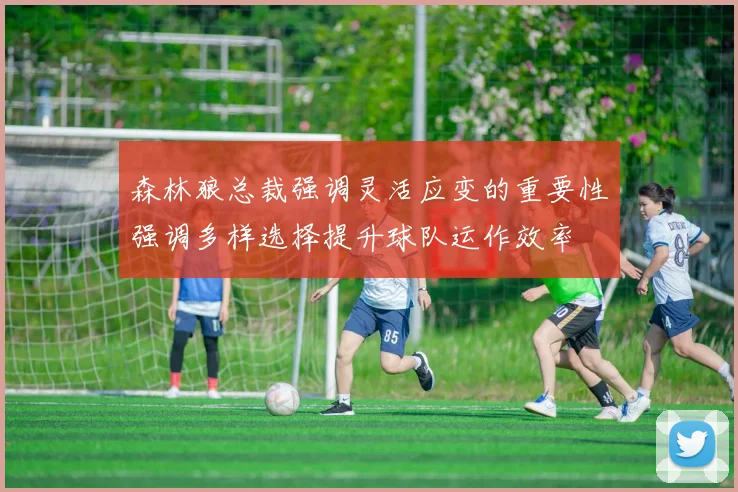 森林狼总裁强调灵活应变的重要性强调多样选择提升球队运作效率